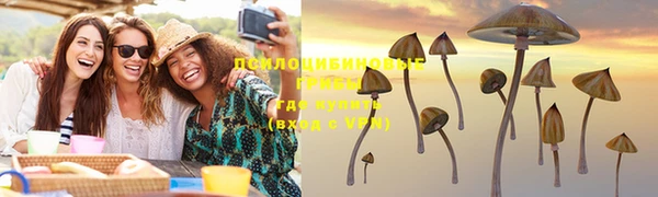 дмт Липки