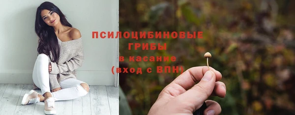 хмурый Лагань