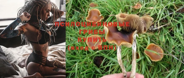 бутират Лабытнанги