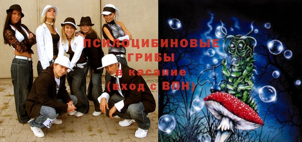 винт Ладушкин