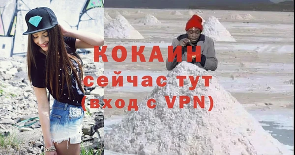 винт Ладушкин