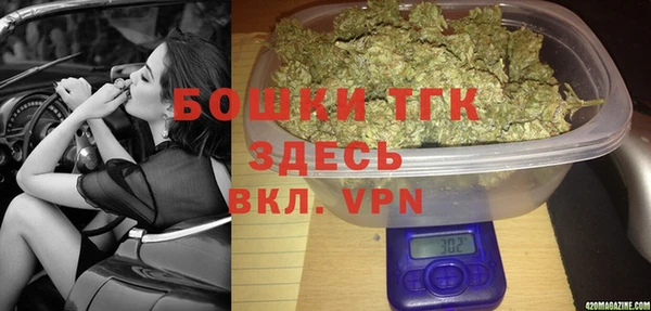 хмурый Лагань
