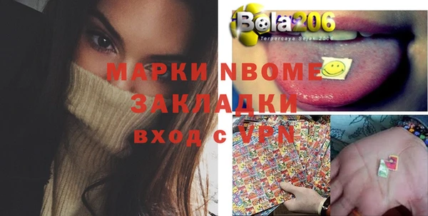хмурый Лагань