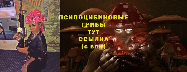 винт Ладушкин