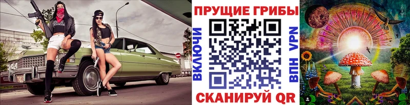 Купить где Маркс Псилоцибиновые грибы Psilocybe